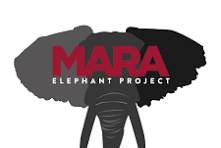 MEP LOGO