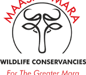 MMWCA LOGO